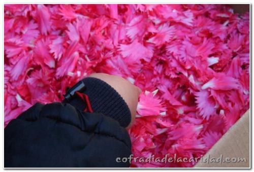 077-Bendicion-Rosario-2013