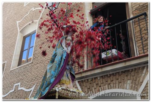 223-Bendicion-Rosario-2013