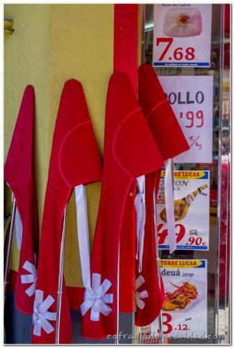 070-Convocatoria-8-abril-2017