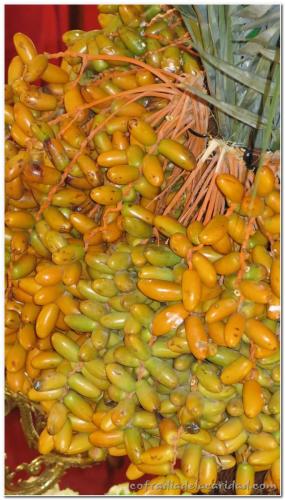 089-Convocatoria-8-abril-2017