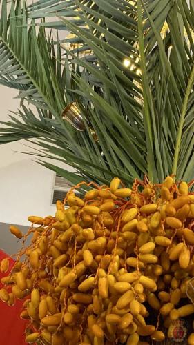 089-Congreso-Getsemani-21-10-2022