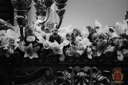 191-Sabado-Santo-19-abr-2025