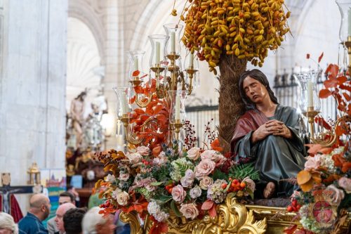 293-Procesion-Magna-15-nov-2025