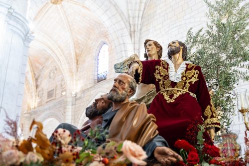 294-Procesion-Magna-15-nov-2025